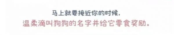 狗出门就乱跑叫不回来怎么办?一篇漫画教你如何正确训练