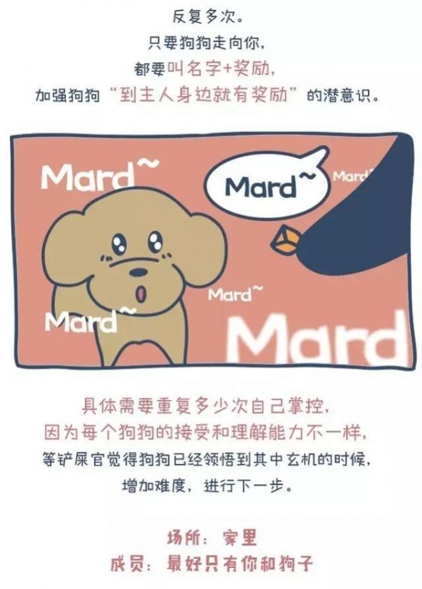 狗出门就乱跑叫不回来怎么办?一篇漫画教你如何正确训练