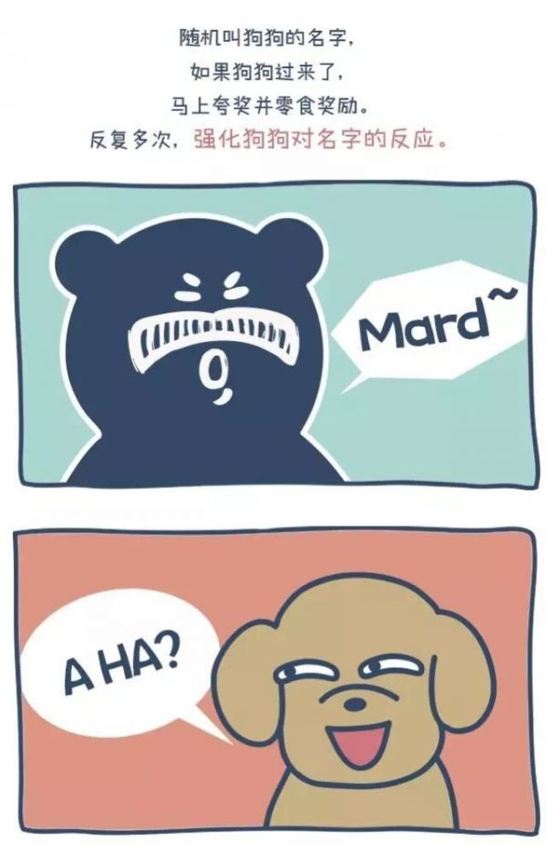 狗出门就乱跑叫不回来怎么办?一篇漫画教你如何正确训练