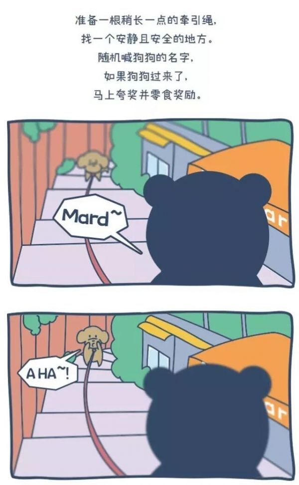 狗出门就乱跑叫不回来怎么办?一篇漫画教你如何正确训练