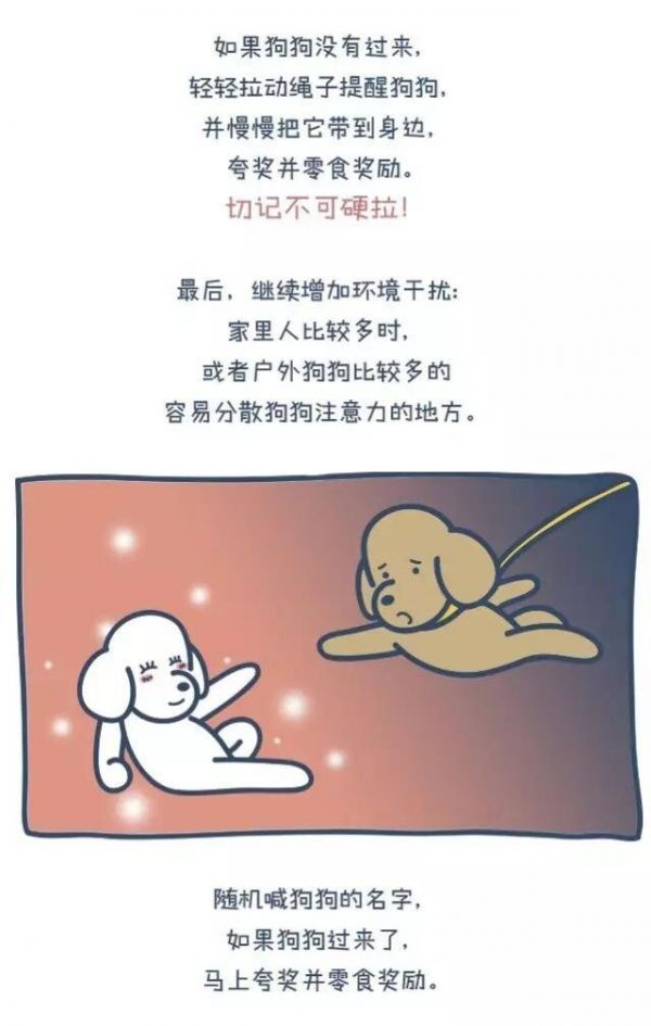 狗出门就乱跑叫不回来怎么办?一篇漫画教你如何正确训练