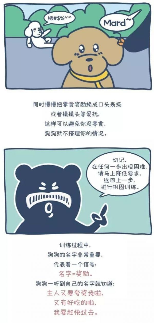 狗出门就乱跑叫不回来怎么办?一篇漫画教你如何正确训练
