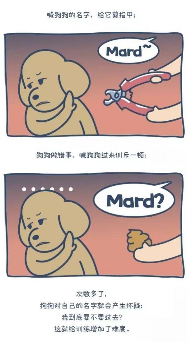 狗出门就乱跑叫不回来怎么办?一篇漫画教你如何正确训练