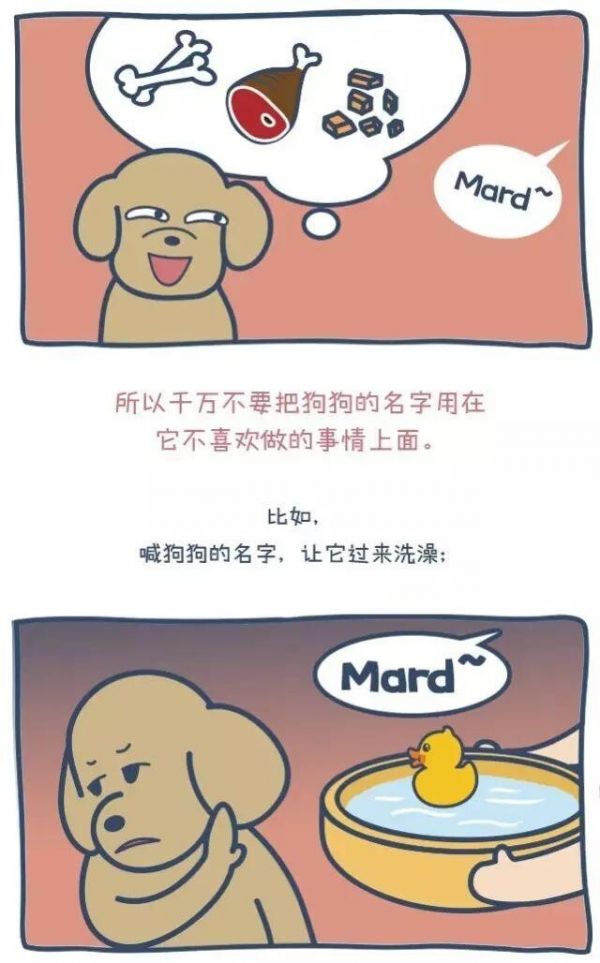 狗出门就乱跑叫不回来怎么办?一篇漫画教你如何正确训练