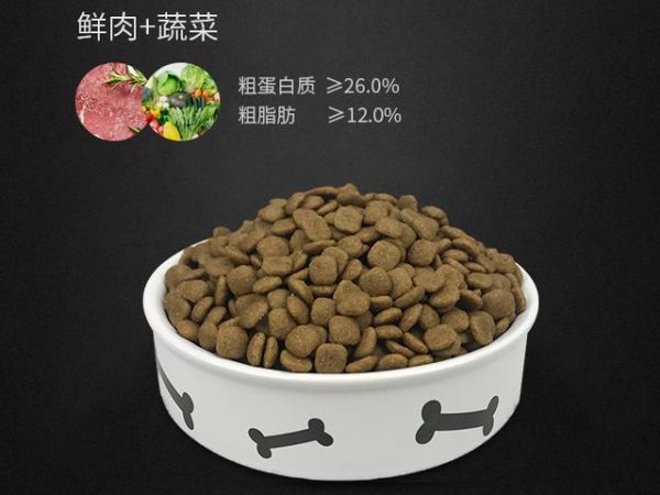 惩罚狗狗时，不能犯的几大忌讳，罚错等于伤害