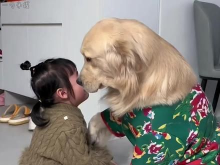 “狗狗的世界很小，在他的眼里你就是它的全部”#狗狗暖心瞬间 #被小狗治愈的一万个瞬间