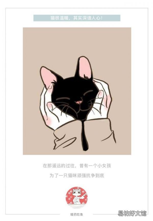 猫咪胆子太小怎么办(猫咪胆子很小怎么办)
