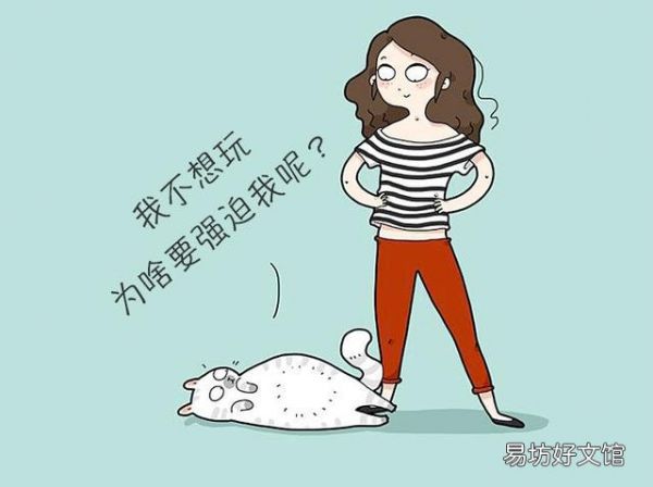 猫咪胆子太小怎么办(猫咪胆子很小怎么办)