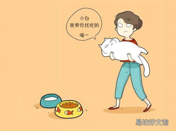 猫咪胆子太小怎么办(猫咪胆子很小怎么办)