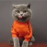 清理猫咪耳道,一招让猫咪乖乖配合