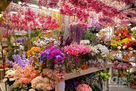 杭州花卉市场在哪里 杭州买花去哪里好？