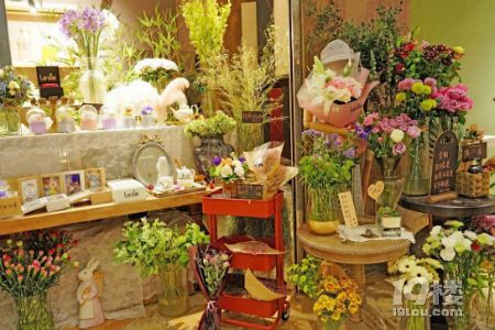 杭州花卉市场在哪里 杭州买花去哪里好？