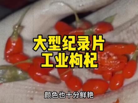 大型纪录片《工业枸杞》 爱喝枸杞水的男同胞们有福了#毒枸杞 #枸杞熏硫磺 #离谱#黑心商家 #食品安全