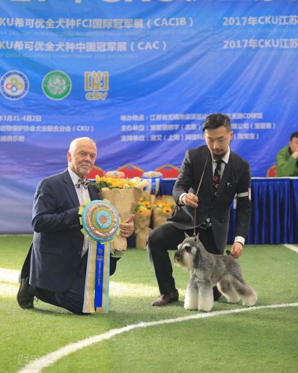 马少葳老师