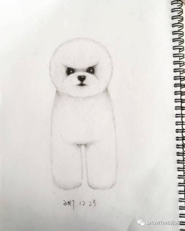 安安说,画图是宠物美容师需要掌握的一门重要技术,也应该把它养成平时