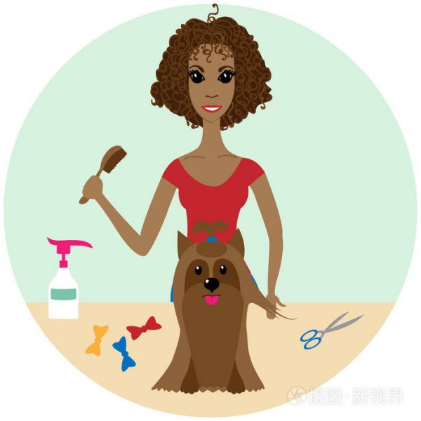 宠物美容师美容沙龙在一只狗