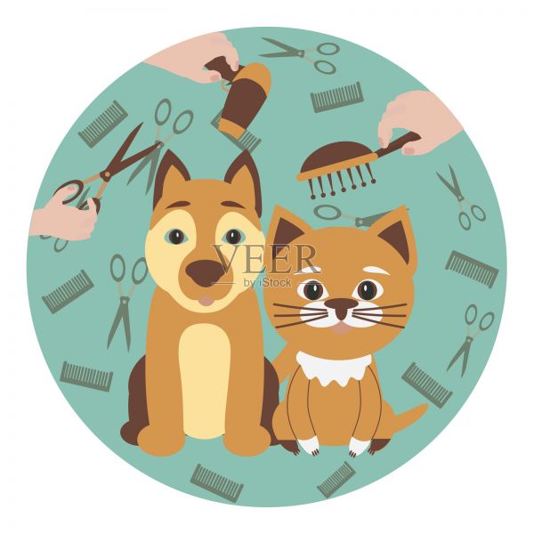 可爱的狗和猫在美容沙龙。宠物美容的概念。插画图片素材