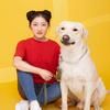 偷了哮天犬的小哪吒