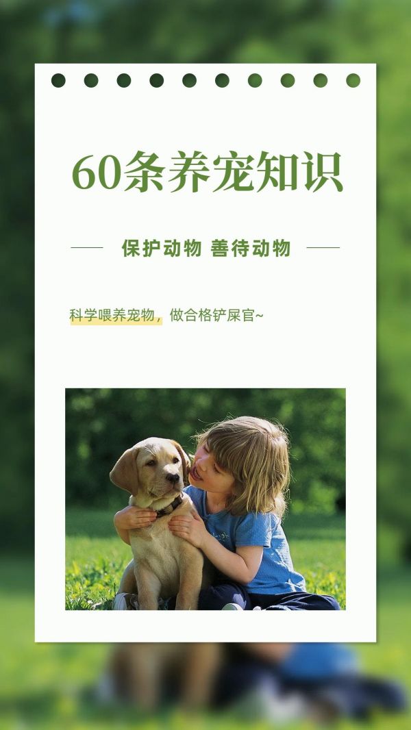 铲屎官不知道的60条养宠冷知识。建议养宠物的你收藏！#科学养宠攻略 #养狗小知识 #萌宠百科 #养狗人 #科学喂养