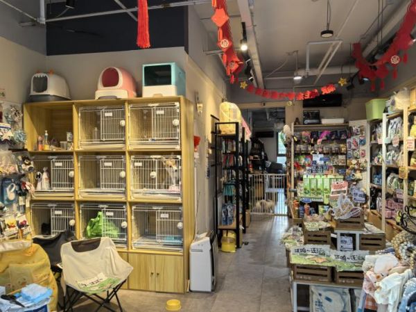 朝阳区某家宠物店 记者 欧阳剑环 / 摄