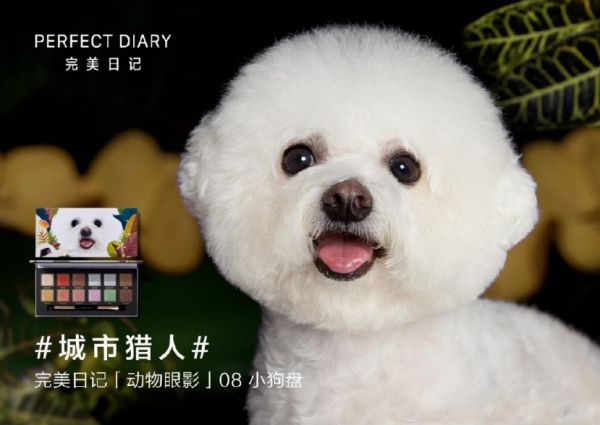 宠物经济大热，品牌应该如何借势做营销？