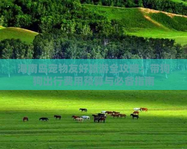 海南岛宠物友好旅游全攻略：带狗狗出行费用预算与必备指南