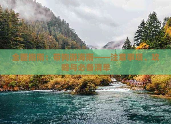 全面指南：带狗游海南——注意事项、攻略与必备清单