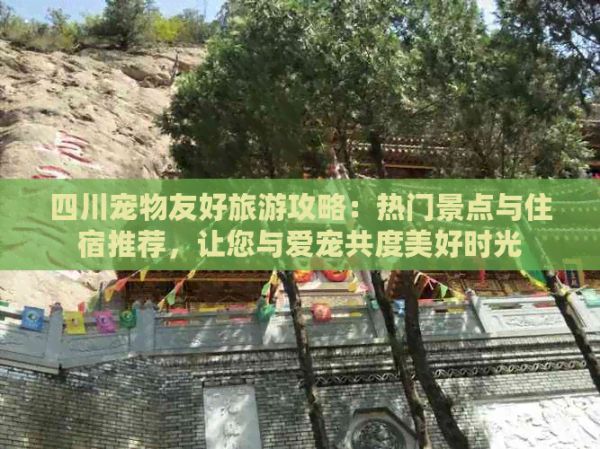 四川宠物友好旅游攻略：热门景点与住宿推荐，让您与爱宠共度美好时光