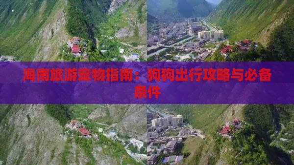 海南旅游宠物指南：狗狗出行攻略与必备条件