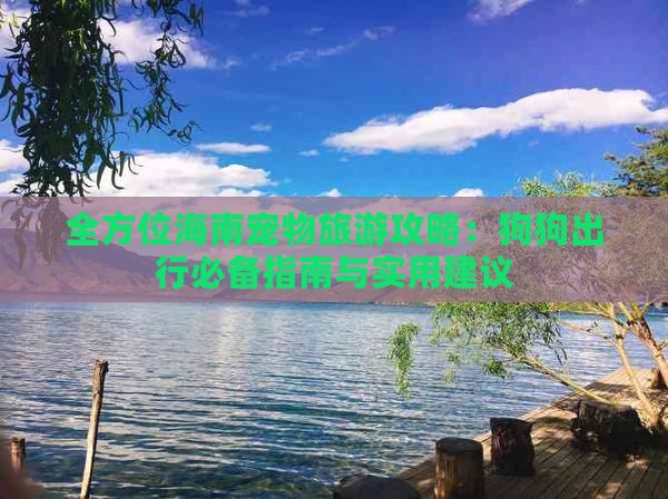 全方位海南宠物旅游攻略：狗狗出行必备指南与实用建议