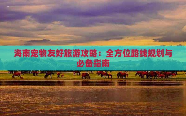 海南宠物友好旅游攻略：全方位路线规划与必备指南