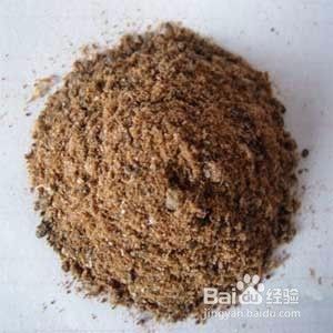 如何做好火燕鸟饲料