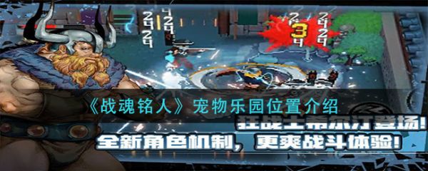 《战魂铭人》宠物乐园位置介绍