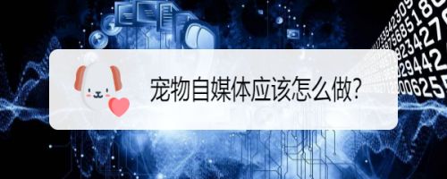 宠物自媒体应该怎么做
