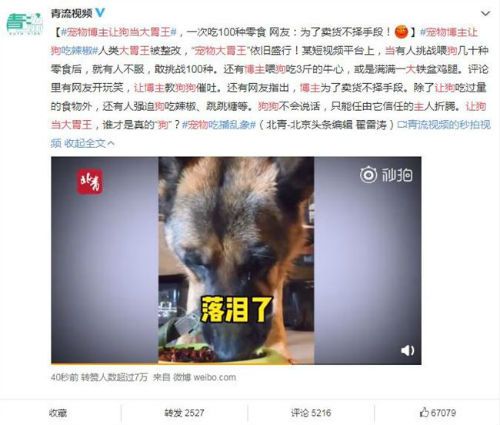 宠物博主让狗当大胃王 网友怒批“为卖货不择手段”