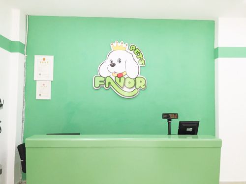圣宠宠物店（广安正元假日店）开业优惠大促销！