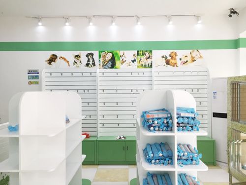 圣宠宠物店（广安正元假日店）开业优惠大促销！