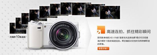 你也许知道索尼NEX-5N宠物拍摄技巧PChome