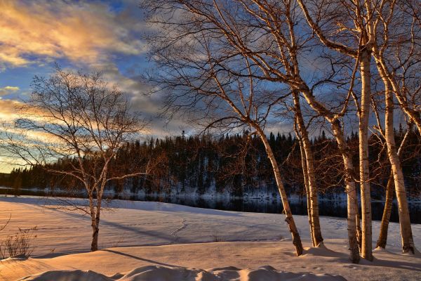 winter-landscape-2093366_1280.jpg