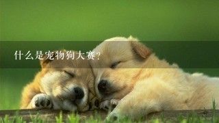 什么是宠物狗大赛？