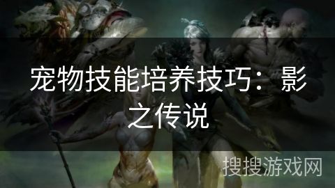 宠物技能培养技巧：影之传说