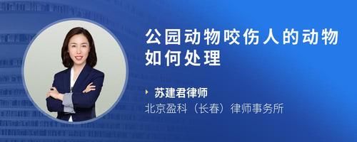 公园动物咬伤人的动物如何处理