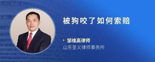被狗咬了如何索赔