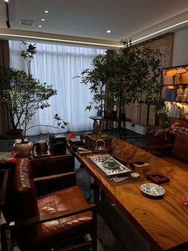 这里是我的茶室，我能坐这里一天不出门，你呢