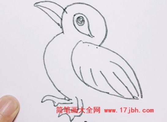 画眉鸟怎么画简笔画