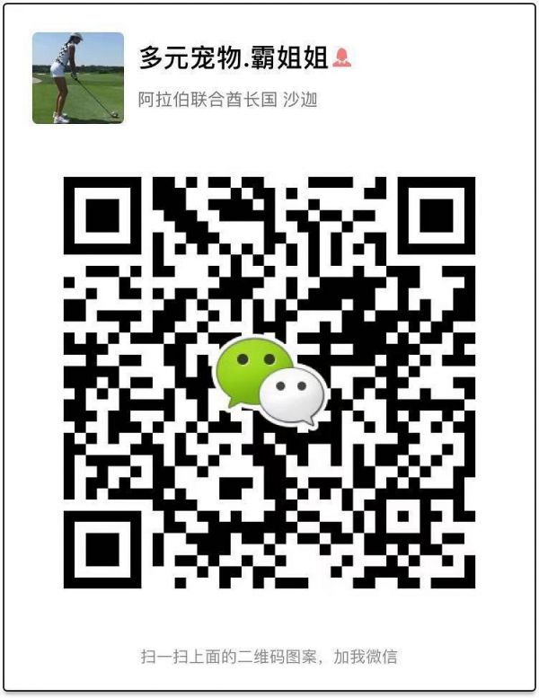 台州首届萌宠运动会！