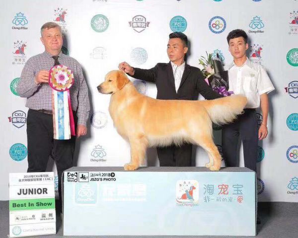 台州首届萌宠运动会！