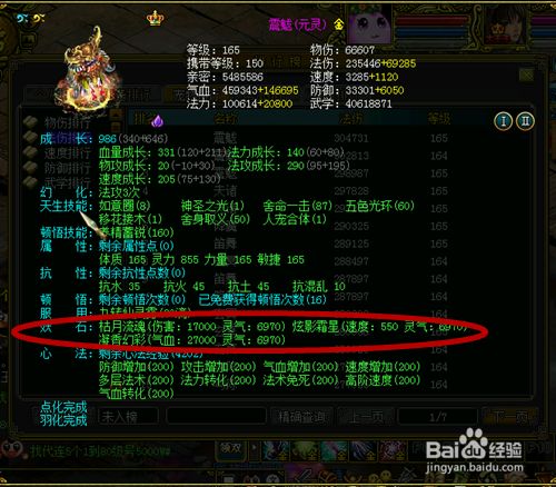 网游问道宠物养成