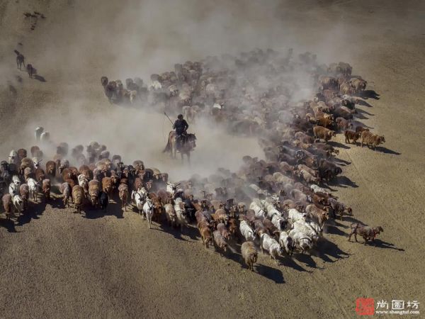 《牧民大转场-Livestock transferring》 摄影：陈昆平（浙江杭州） 彩色开放组 特别勋带奖.jpg