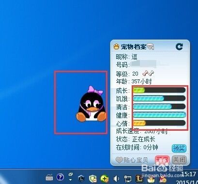如何玩QQ企鹅宠物